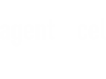 agentXcel